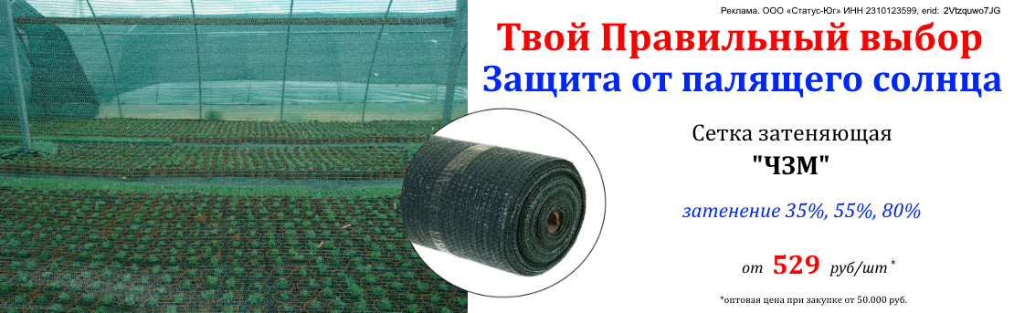 Баннер_сетка чзм_08.25