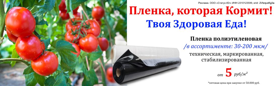 Баннер_пленка_08.25